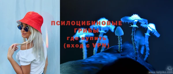 скорость Бородино