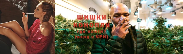 скорость Бородино