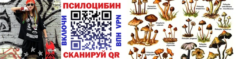 как найти закладки Оха Псилоцибиновые грибы мухоморы